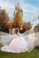 Load image into Gallery viewer, Light Pink Off the Shoulder Corset Long Quinceanera Dress with Appliques