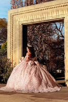 Load image into Gallery viewer, Light Pink Off the Shoulder Corset Long Quinceanera Dress with Appliques
