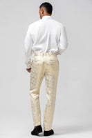 Load image into Gallery viewer, Champagne Shawl Lapel 2 Pieces Men's Suits