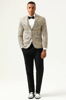 Load image into Gallery viewer, Sparkly Champagne Sequins Notched Lapel Men's Prom Blazer