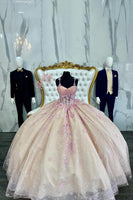 Load image into Gallery viewer, Blush Champagne Corset Spaghetti Straps Long Ball Gown with Appliques