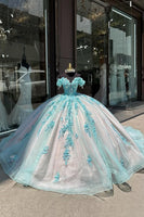 Load image into Gallery viewer, Sparkly Green Appliques Off the Shoulder Long Ball Gown with Sequins