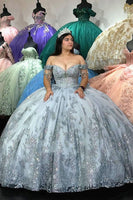 Load image into Gallery viewer, Silver Grey Off the Shoulder Tassels Appliques Long Ball Gown