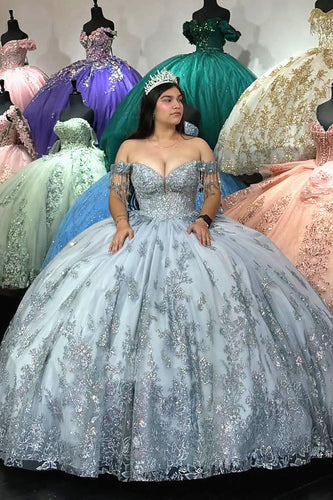 Silver Grey Off the Shoulder Tassels Appliques Long Ball Gown