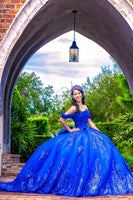 Load image into Gallery viewer, Sparkly Royal Blue Off The Shoulder Sequins Long Quinceanera Dress with Bow