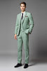 Load image into Gallery viewer, Light Green 3 Piece Slim Fit Textured Men&#39;s Suit