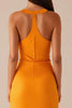 Load image into Gallery viewer, Yellow Round Neck Sleeveless Long Evening Dress
