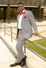 Load image into Gallery viewer, Grey 2 Pieces Striped Notched Lapel Men&#39;s Prom Suits