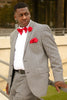 Load image into Gallery viewer, Grey 2 Pieces Striped Notched Lapel Men&#39;s Prom Suits