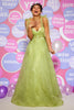 Load image into Gallery viewer, Light Green A Line Tulle Princess Prom Dress With Embroidery
